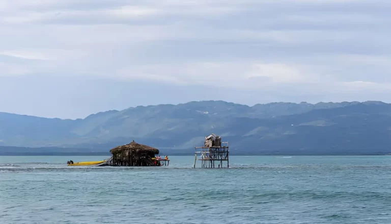 Pelican Bar