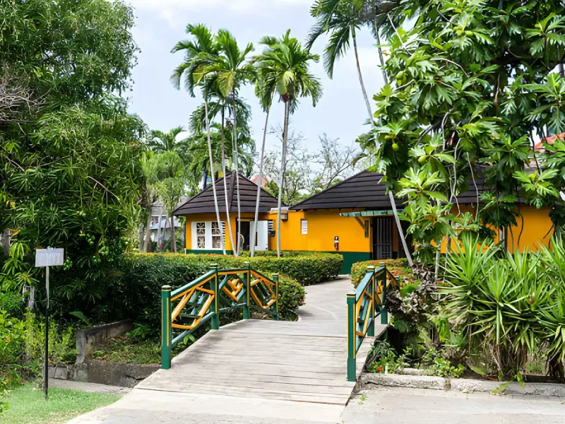 Jamaica landscape