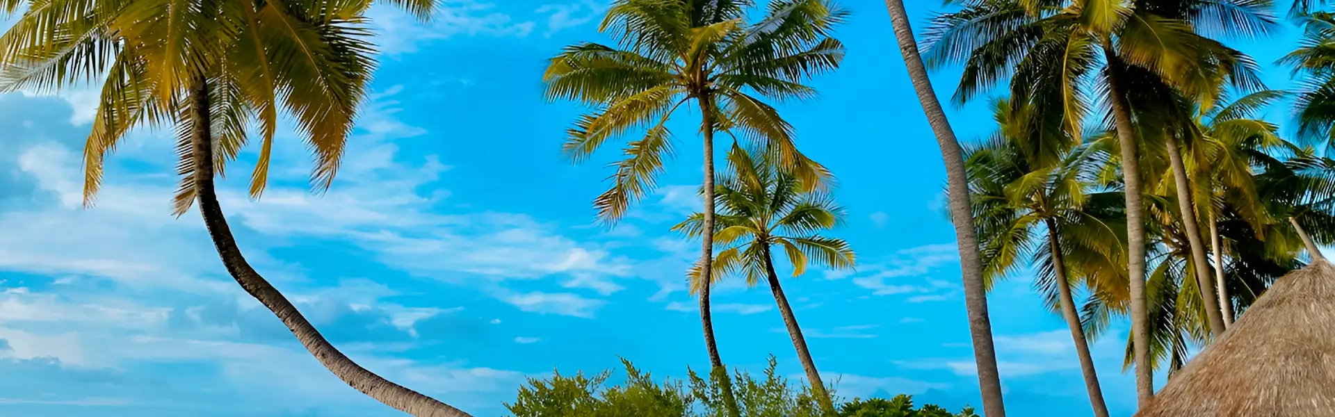 Beautiful Jamaica landscape