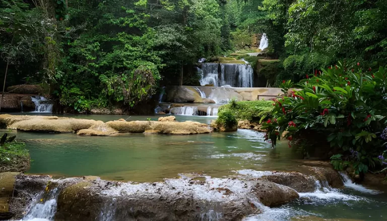 YS Falls